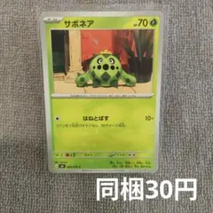 【在庫5】サボネアまとめ買いのサムネイル