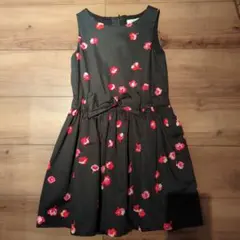 Item thumbnail for item 6e790943-77b2-4424-a912-25a424596657