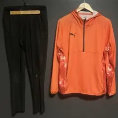 プーマ　上下ジャージ
