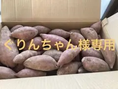 ぐりんちゃん様専用