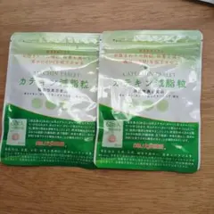 2026年最新】カテキン減脂粒の人気アイテム - メルカリ