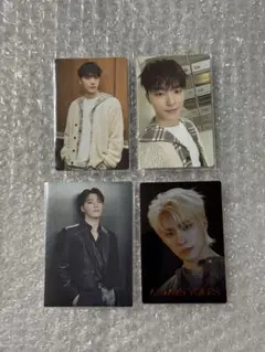 SEVENTEEN セブチ ディノ トレカ