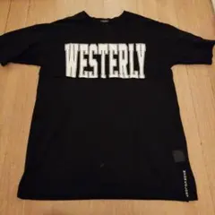 Item thumbnail for item 75d704ba-b87d-4f90-a8cf-3e25643f9fdf