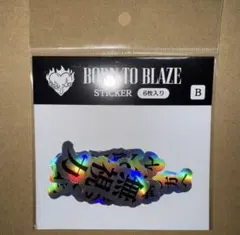 2025年最新】命の燃やし方の人気アイテム - メルカリ