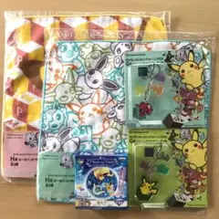 ポケモンわくわくゲットくじ2013　イーブイセット　G賞　H賞　＋缶ミラー