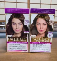 L'OREAL ★ 6NB やや明るい自然な栗色 ★2箱★未開封品のサムネイル