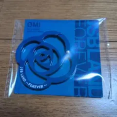 登坂広臣 会場限定ローズキーホルダー JSB LAND FOREVER ♢ - メルカリ