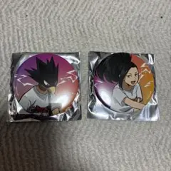 常闇踏陰 八百万百　ヒロアカ プルスウルトラライブ 缶バッジ