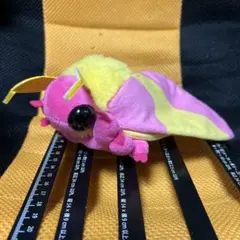 ハ*ル様 昆虫MANIAC カイコガ カイコ 蚕蛾 モス ぬいぐるみ 昆虫マニア