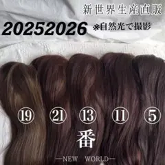 2025新世界　人毛100%　フルウィッグ　シルクスキン　医療ウィッグ