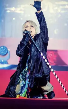 2026年最新】Switchblade コートの人気アイテム - メルカリ