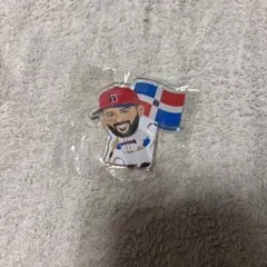 グ*ラ様 【レア】 WBC マチャド ドミニカ アクリルスタンド - メルカリ