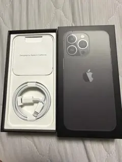 Apple iPhone 13 Pro 本体 ブラック