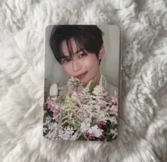 zb1 ハンビン reflow 花束