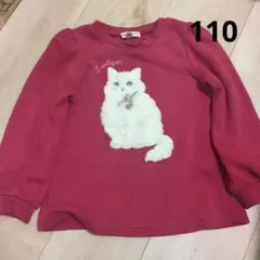 猫 110