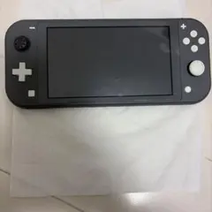 Nintendo Switch Lite グレー 本体×ケース付き