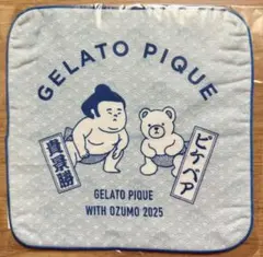 2026年最新】貴景勝 タオルの人気アイテム - メルカリ