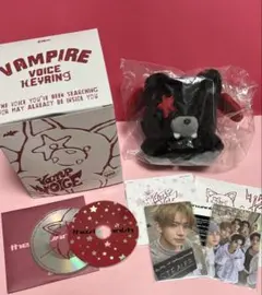 ENHYPEN VANISH ボイスキーリング Voice Keyringヒスン