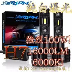 TOSHIBA ブラックライト 蛍光物質演出用 3本セット - メルカリ