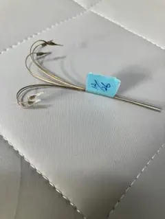 2026年最新】モンソニア ムルチフィダの人気アイテム - メルカリ