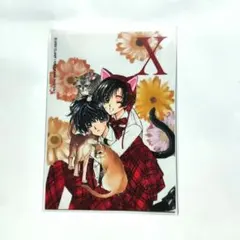 Item thumbnail for item d30547f9-3b73-4239-a643-06b85a50edb6