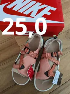 【25cm】NIKE ONEONTA ナイキ オニオンタ スポーツサンダルのサムネイル