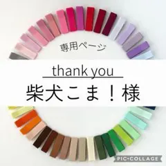 柴犬こま！様 リクエスト 2点 まとめ商品