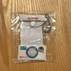 万博スタッフパス ストラップ AD証 - メルカリ