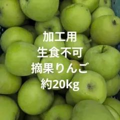 加工用 摘果りんご 約20kg 5〜7cm程度　生食できません。のサムネイル