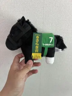 【サラブレッドコレクション】リーチザクラウン