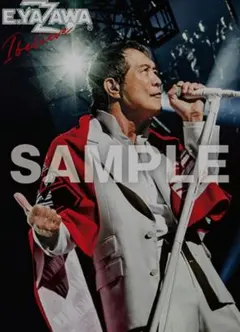 ポスター   矢沢永吉　非売品 矢沢永吉 非売品 告知パネル ポスター 超レア！！ 2つセット