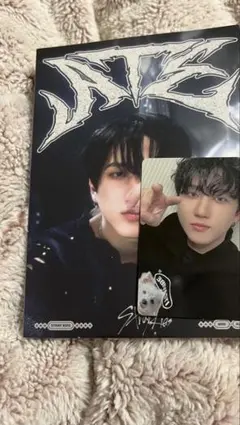 straykids チャンビン ATE タワレコ ラキドロ トレカ