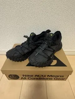 ナイキ ACG マウンテンフライ Low ゴアテックス　27.5cmのサムネイル