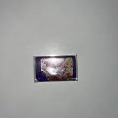 ポケモンフレンダスーパートレジャー　グラードン
