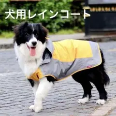 犬用 レインコート カッパ 雨具 通気 帽子付 散歩用 オレンジ グレー XS