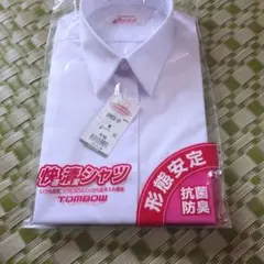 Item thumbnail for item aaf1bc8f-88f1-495a-99d1-5fb5a0d0c409