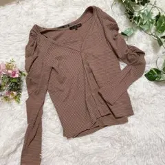 SUGAR SPOON Fサイズ パフスリーブ トップス シアー感 Vネック