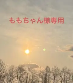 ももちゃん様 リクエスト 3点 まとめ商品