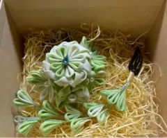 Item thumbnail for item e4fa9e06-2a2f-4883-9c46-1863e9cba424