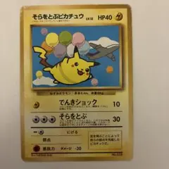 そらをとぶピカチュウ_ANA 「みんなにうれしいキャンペーン