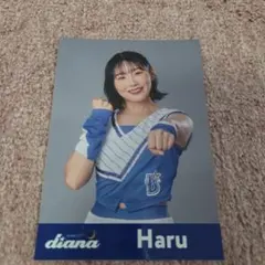 横浜DeNAベイスターズ　diana haruさん