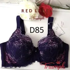 トリンプ　レッドレーベル フルカップブラジャー　D85 ネイビーのサムネイル