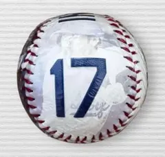 ファイターズ大谷翔平レプリカサインボール 2025年最新】大谷翔平 レプリカ サインボールの人気アイテム