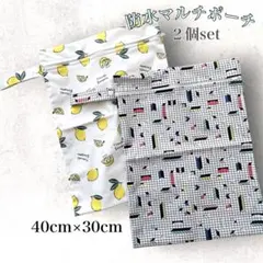 Item thumbnail for item 93a5a7ec-1c0b-4acd-966a-a1ff2cc1e48b