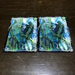 エウルブッカ　e