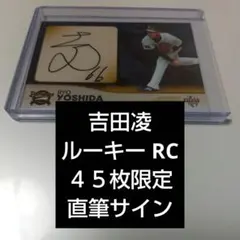 Item thumbnail for item 1ccff26e-da8c-437e-a5e0-e8a90e2db365