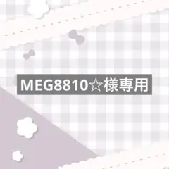 MEG8810☆様専用