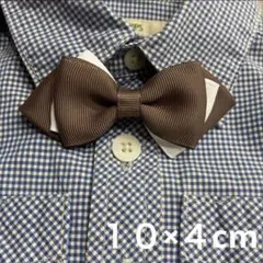 Item thumbnail for item 0a1be70e-ea12-45d4-a179-8ab9ea47ed27