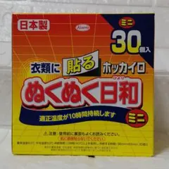衣類に貼るホッカイロ ぬくぬく日和 ミニ 30個入