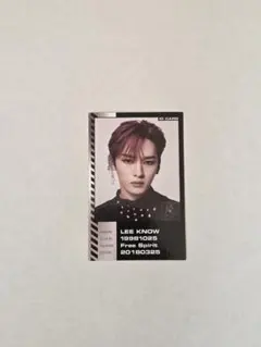 straykids スキズ oddinaryトレカ リノ